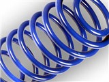 VWR-Sport Springs / 